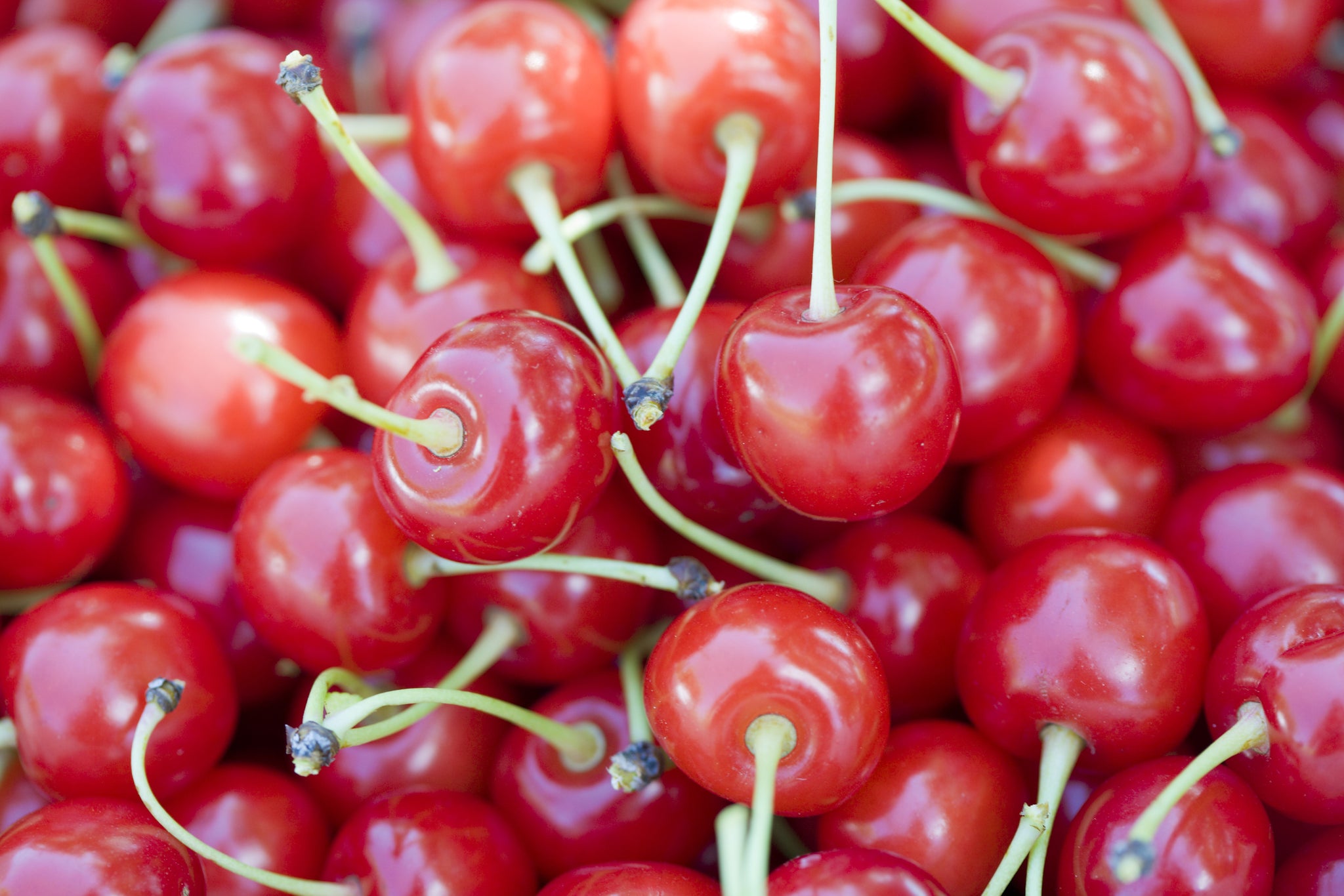 Top 4 foods to reduce muscle soreness and enhance recovery